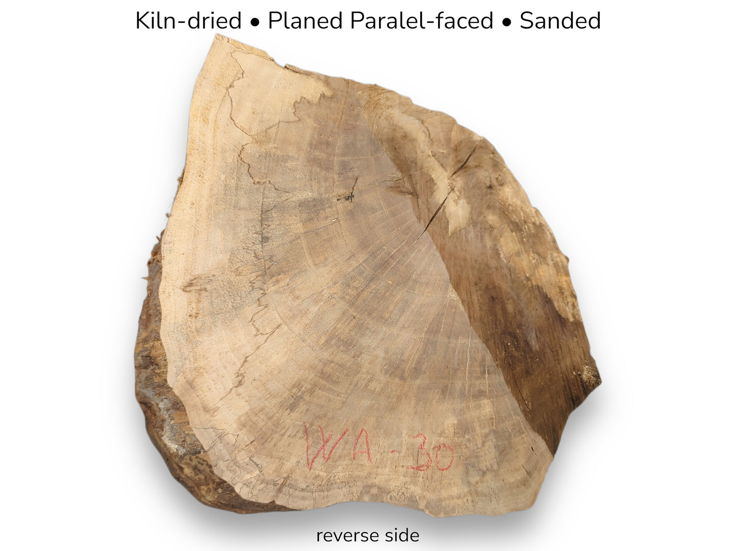 Irregular brown root wood slice, reverse side, showing annual rings. Overlaid text lists processing steps.