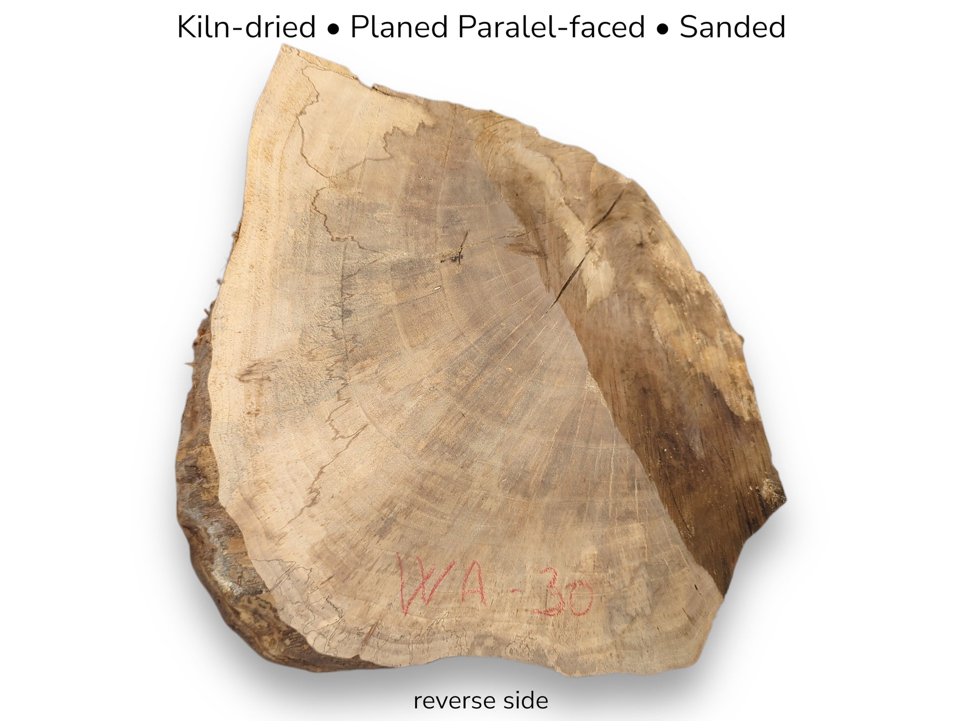 Irregular brown root wood slice, reverse side, showing annual rings. Overlaid text lists processing steps.