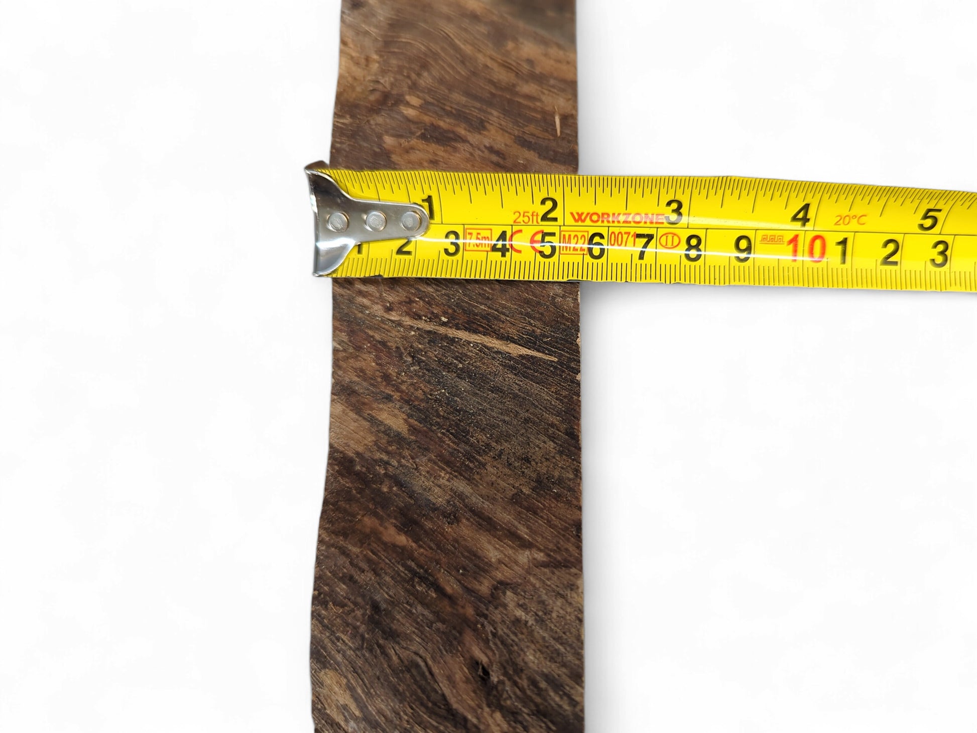 Dark brown, irregularly shaped wood slice revealing organic patterns, measured by a yellow tape measure.