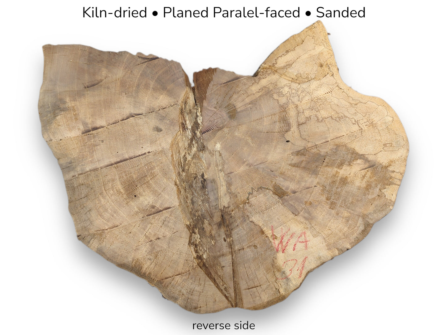 Reverse side of irregular walnut slice showing light brown grain, red writing, and specification text.
