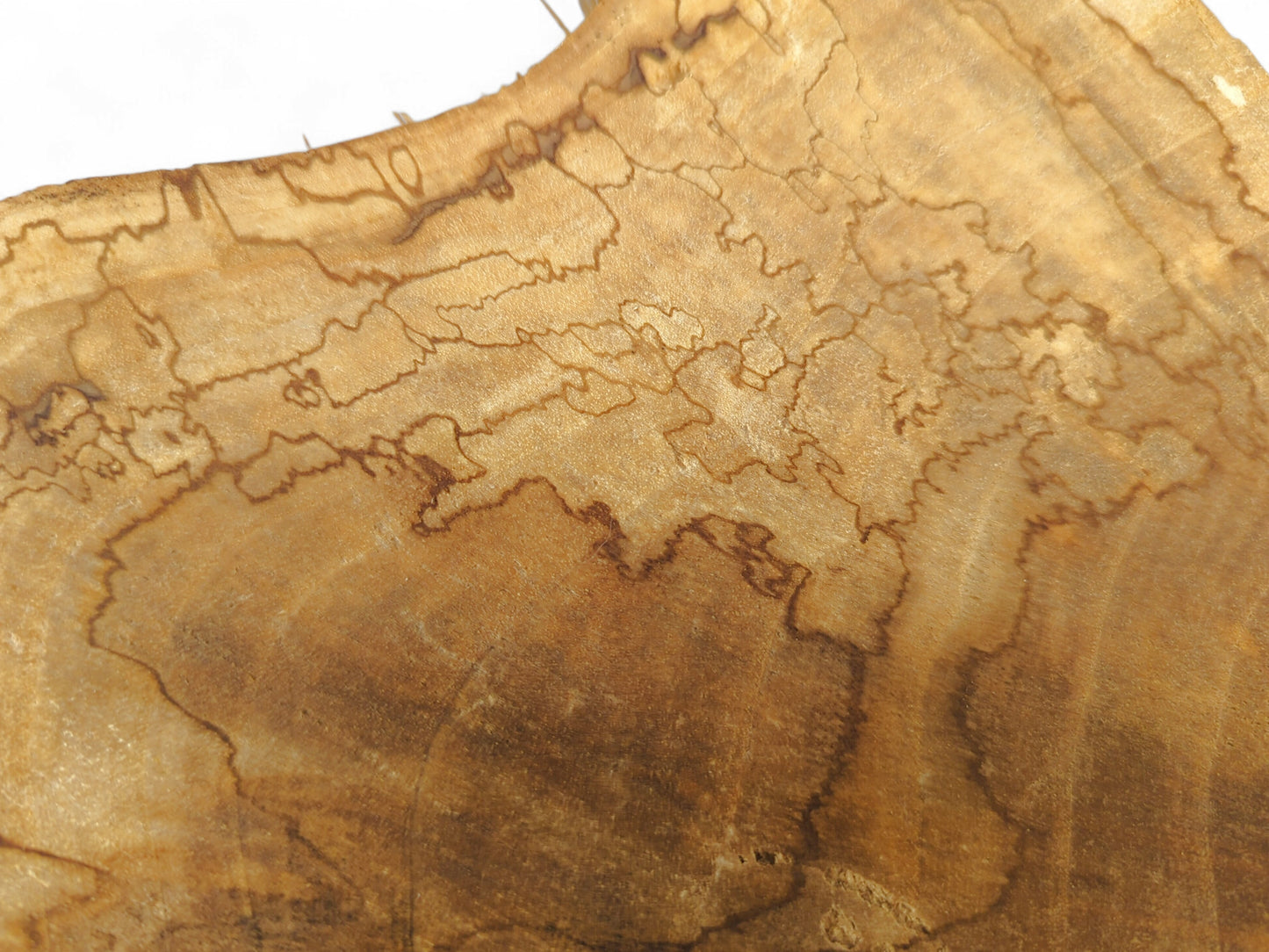 The light brown surface of a wood slice displays intricate, dark brown, wavy spalting patterns.