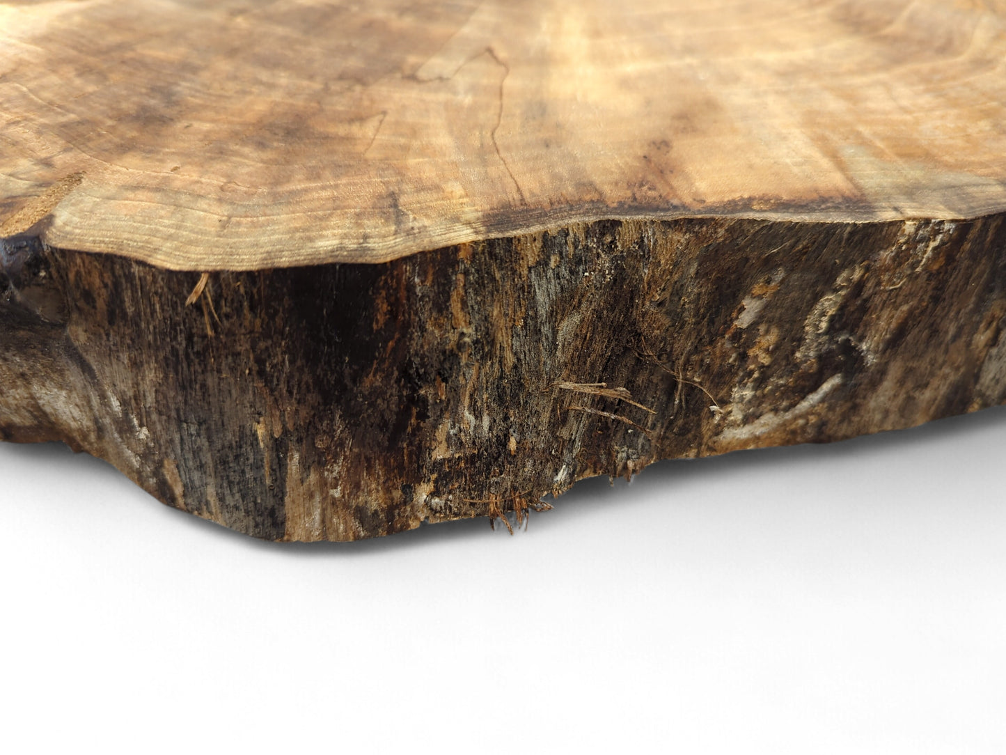 Close-up of an English Walnut wood slice, smooth top with growth rings, and a rough natural edge.