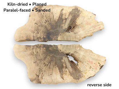 Two walnut wood cross-sections showing front and reverse, with text detailing their project-ready preparation.