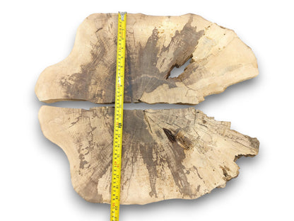 A yellow measuring tape is laid over two light walnut slabs to show their combined vertical dimension.