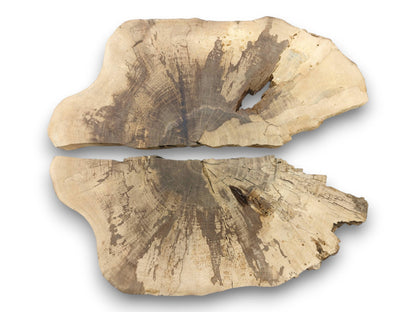 Overhead view of two separated walnut cross-sections with irregular edges and dark, streaked grain patterns.