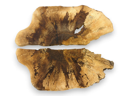A pair of walnut wood slabs with natural live edges show a prominent, dark fan-shaped grain.