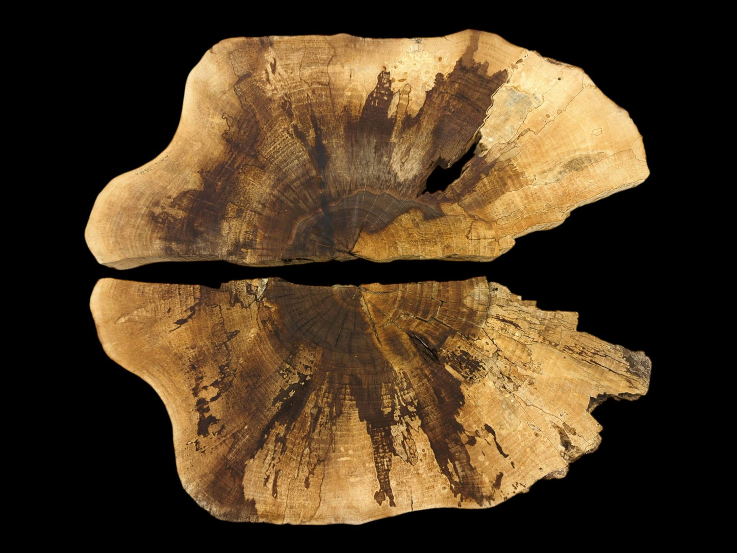Two split walnut wood slabs positioned to mirror each other's prominent, dark, fan-shaped woodgrain patterns.