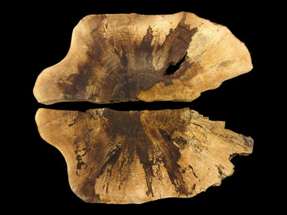 Two split walnut wood slabs positioned to mirror each other's prominent, dark, fan-shaped woodgrain patterns.