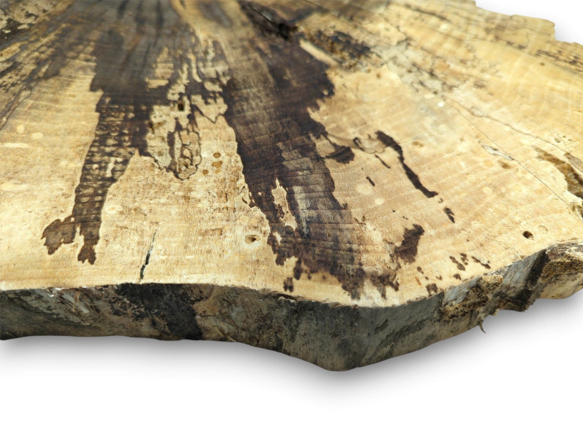 A close-up, angled view reveals the intricate dark patterns and rough-hewn edge of a walnut slice.