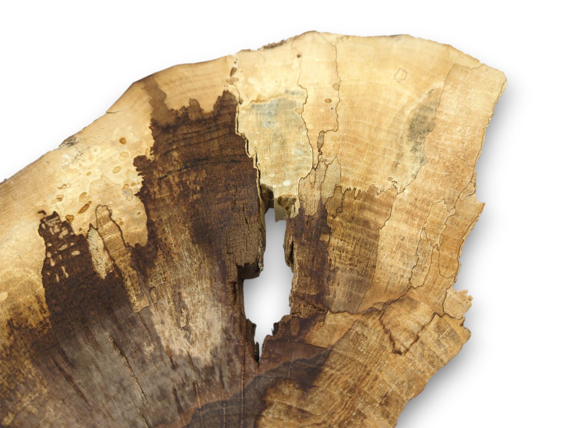Overhead perspective of a walnut cookie slab with a large natural void separating distinct wood colors.