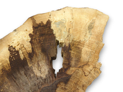 Overhead perspective of a walnut cookie slab with a large natural void separating distinct wood colors.