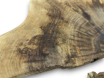 A detailed macro shot captures the dark, blotchy wood grain spreading over a light walnut slab.