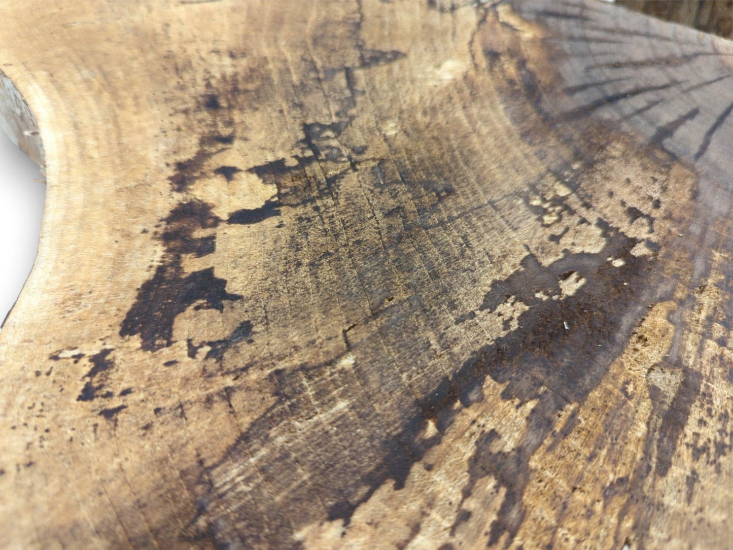 A tight, angled photograph of a walnut slab's surface, showing growth rings and dark mineral streaks.