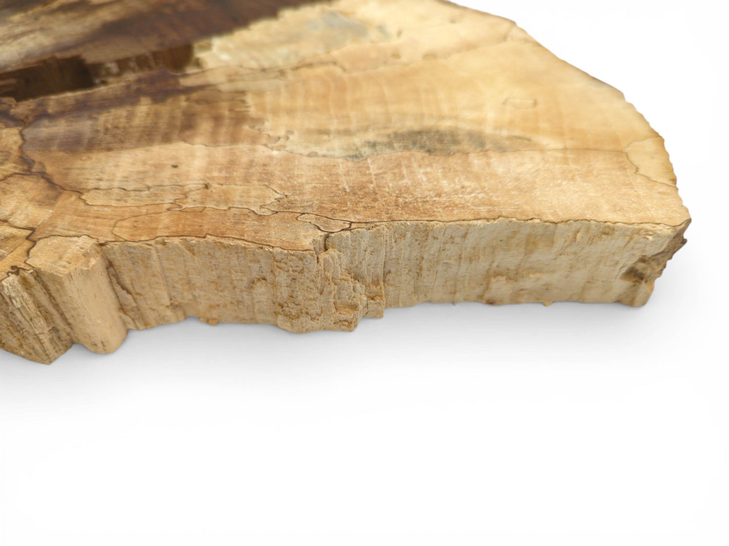 A low-angle view of a walnut wood slab focuses on its rugged, unprocessed edge and surface cracks.