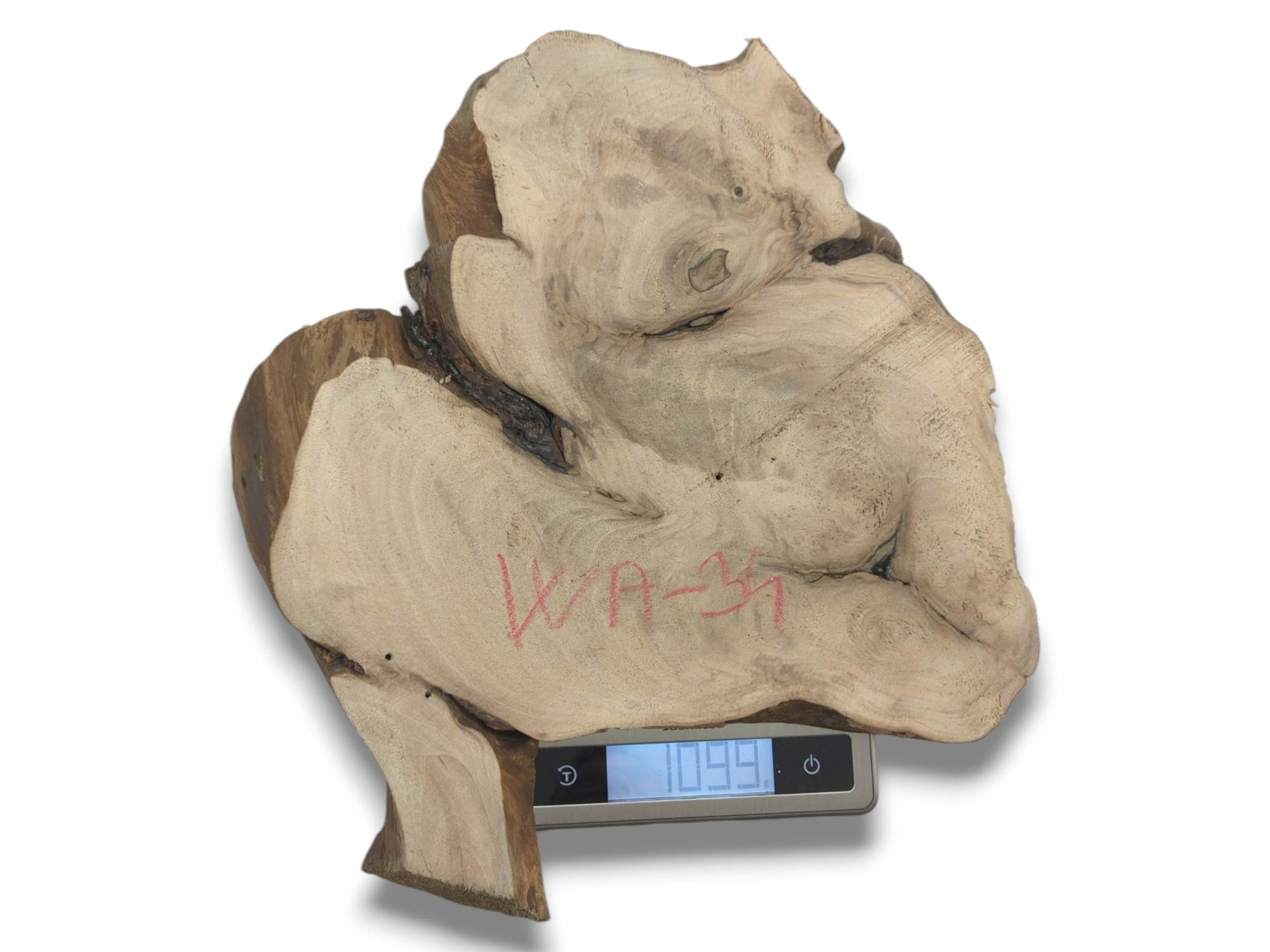 An irregularly shaped, raw-edge walnut slab with red writing rests on a digital scale reading 1099.