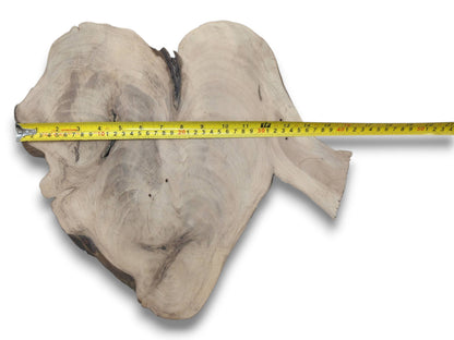 A top-down view of a heart-shaped, light brown walnut slab with a measuring tape across its width.