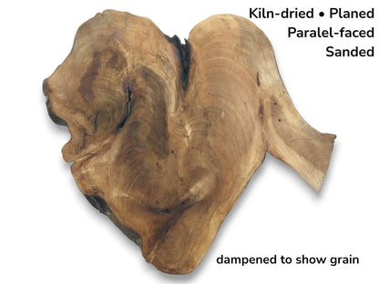 A dampened, planed walnut root slab with a distinct bilobed shape, a dark central split, and swirling grains.
