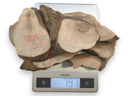 Multiple English walnut root wood slices with natural live edges on a digital scale.