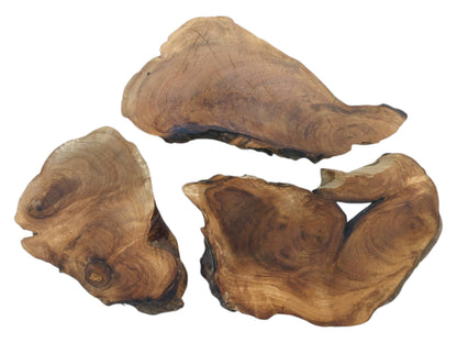 Three English walnut root wood slices with natural live edges and visible growth rings.