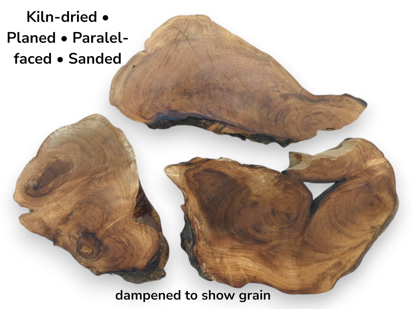 Three kiln-dried English walnut root wood slices with live edges, planed, and sanded.