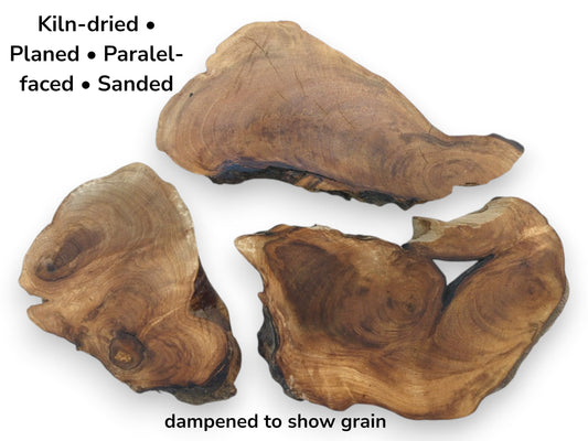 Three kiln-dried English walnut root wood slices with live edges, planed, and sanded.