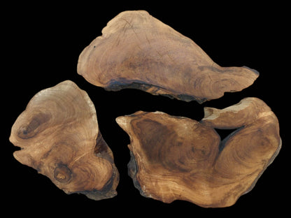 Three English walnut root wood slices with natural live edges and visible wood grain on a black background.