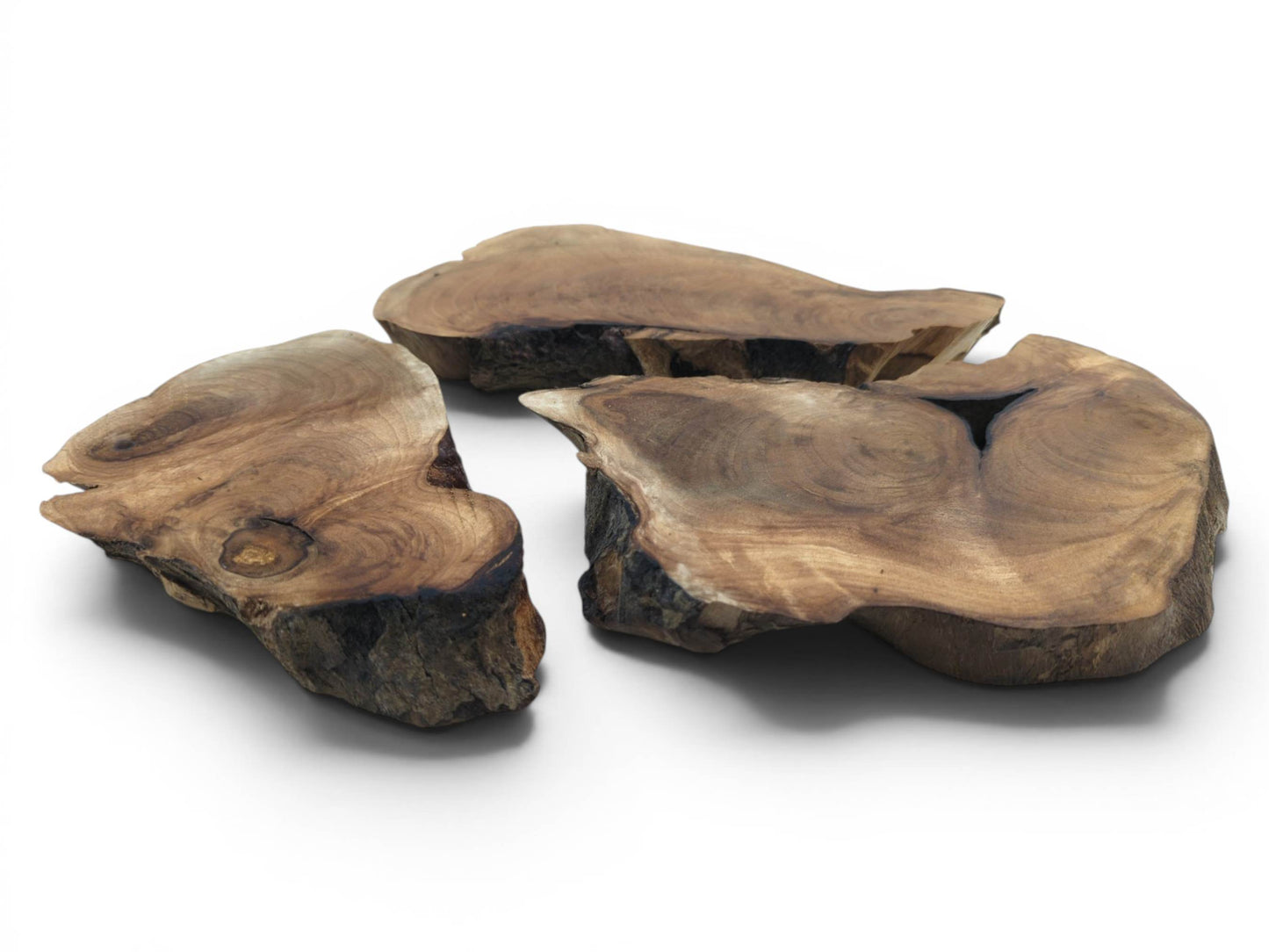 Three English walnut root wood slices with natural live edges and visible growth rings.