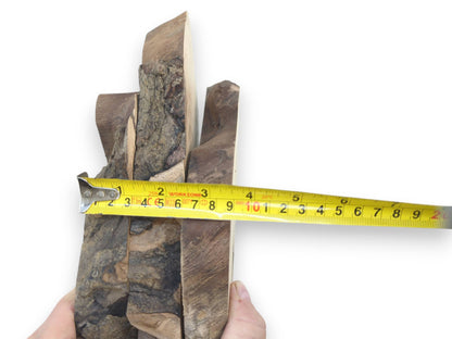 A person holding three English walnut root wood slices, measured by a yellow tape.