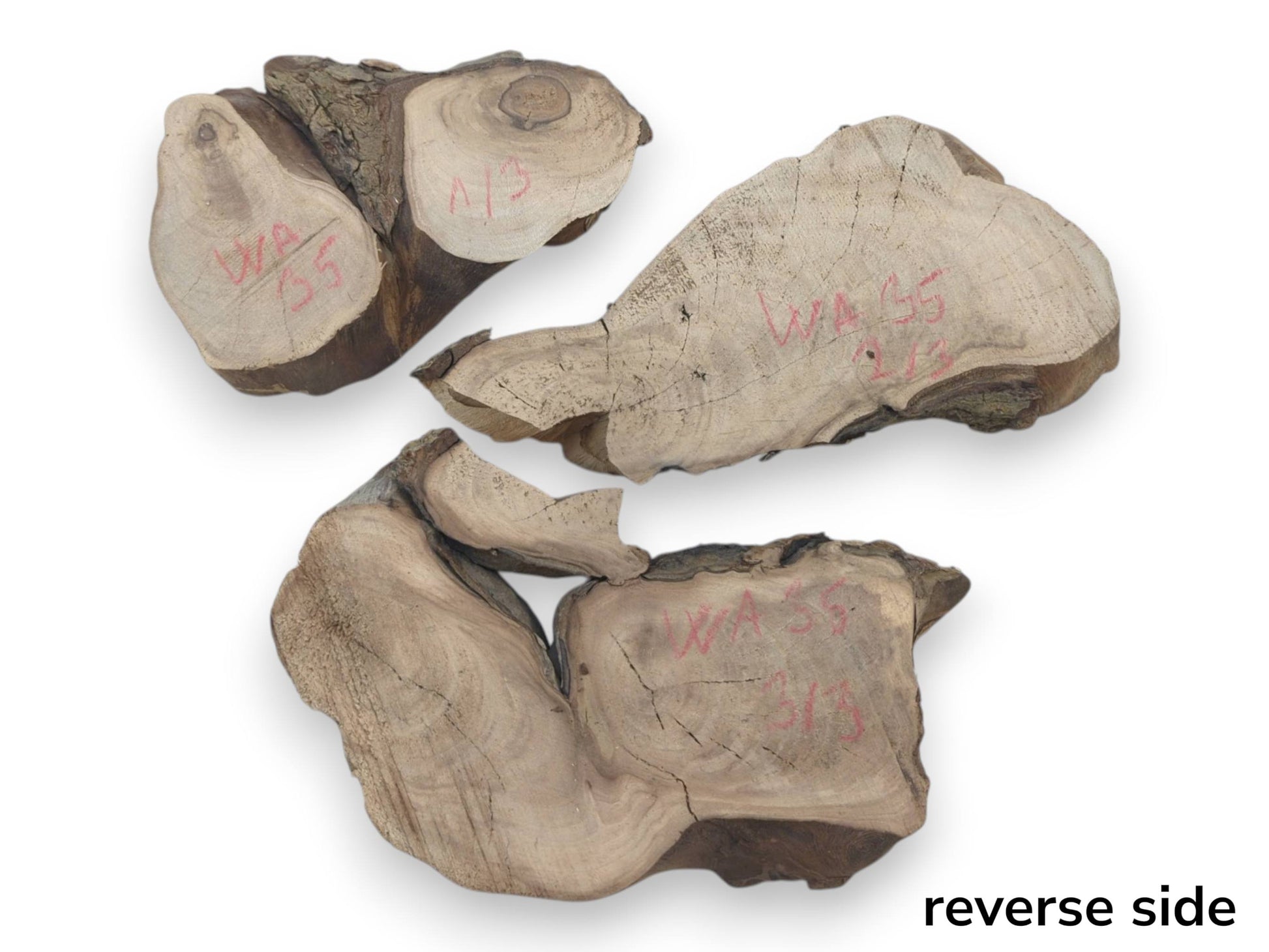 Three English walnut root wood slices with natural bark edges, showing visible cracks and grain.