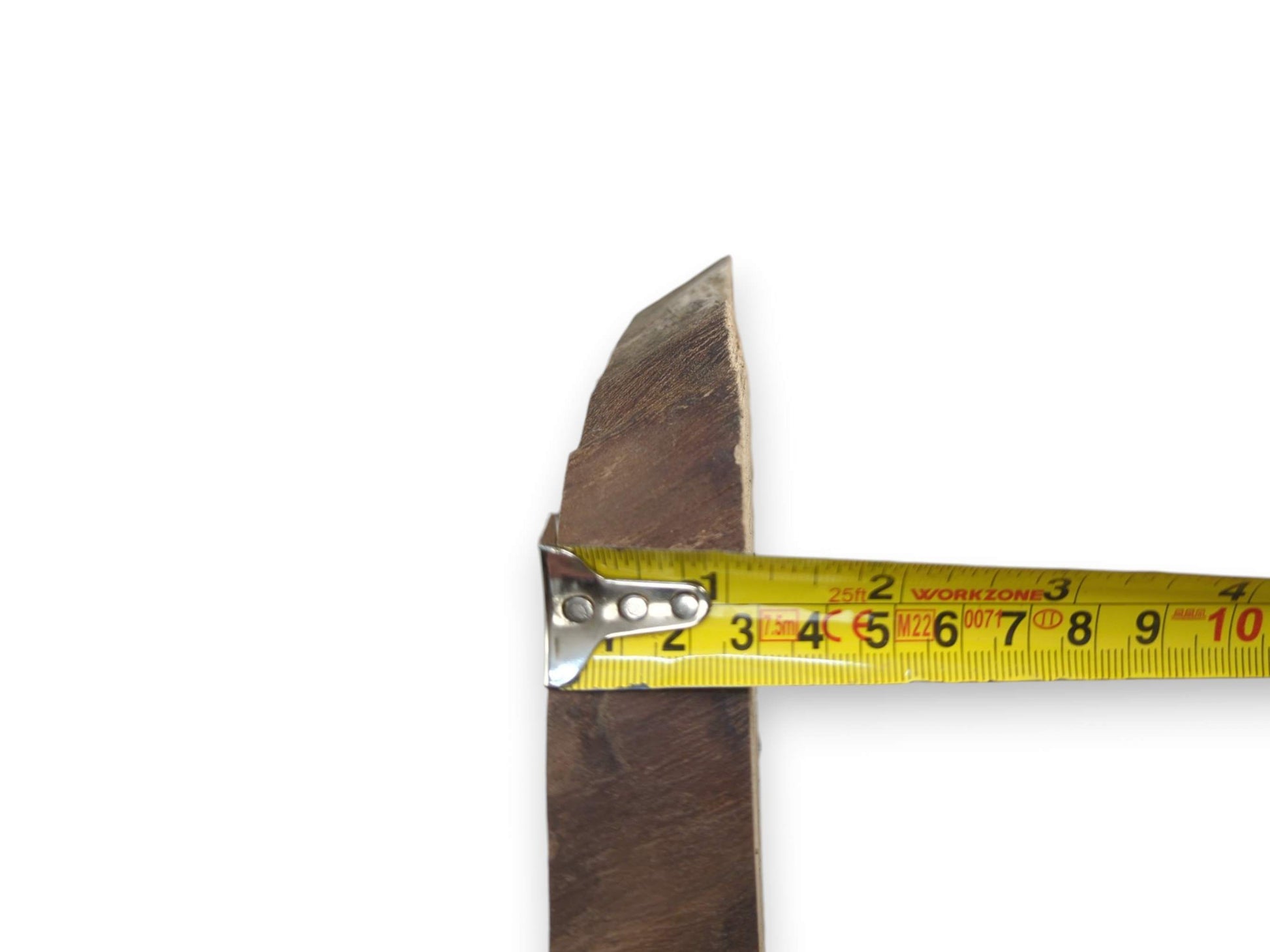 A close-up of an English walnut root wood slice with a live edge.