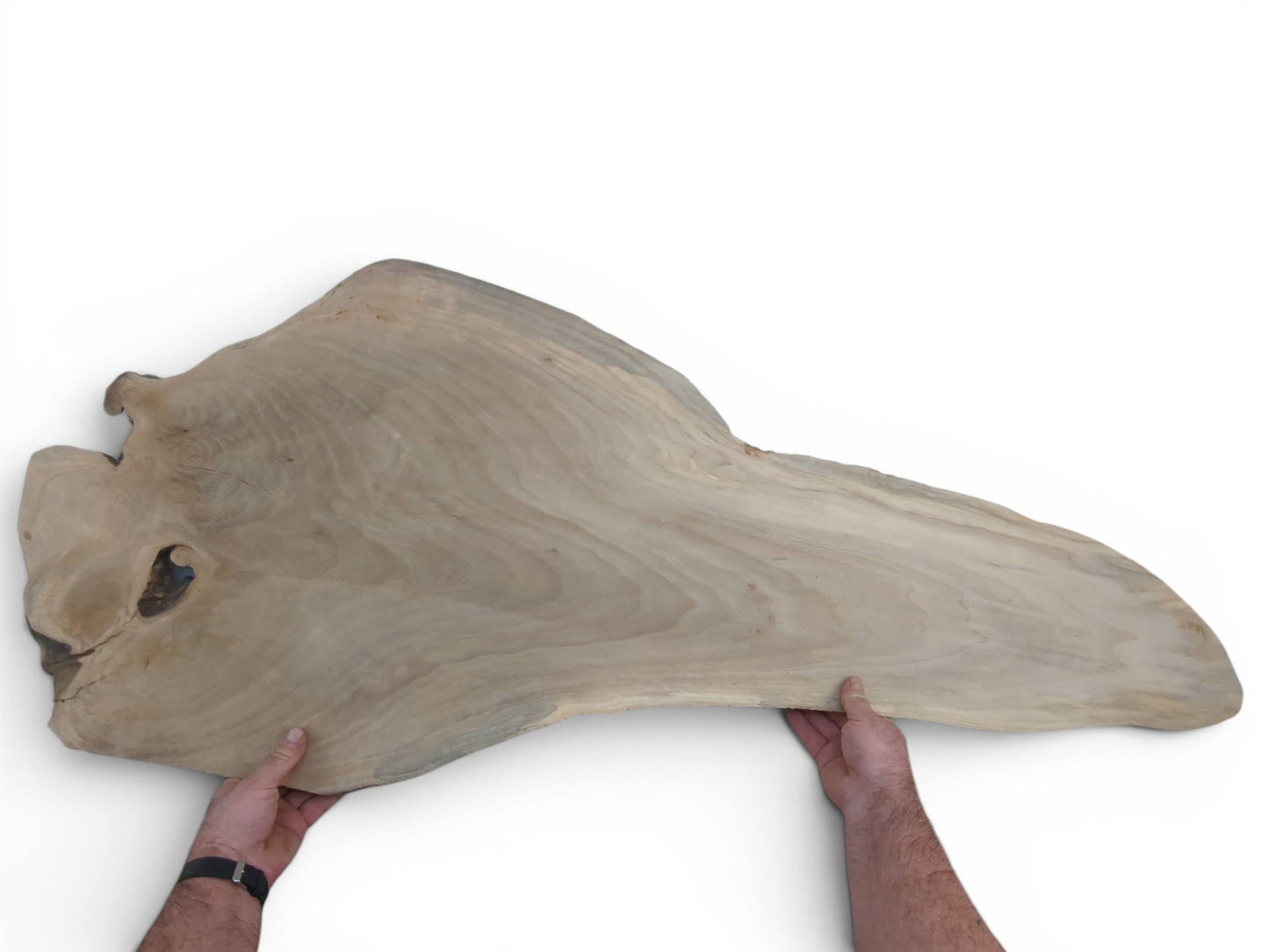 Large Walnut Wood Slab, Live Edge Raw Material, Natural Crafting Piece, Rustic Coffee Table Top, Epoxy Resin Project #036