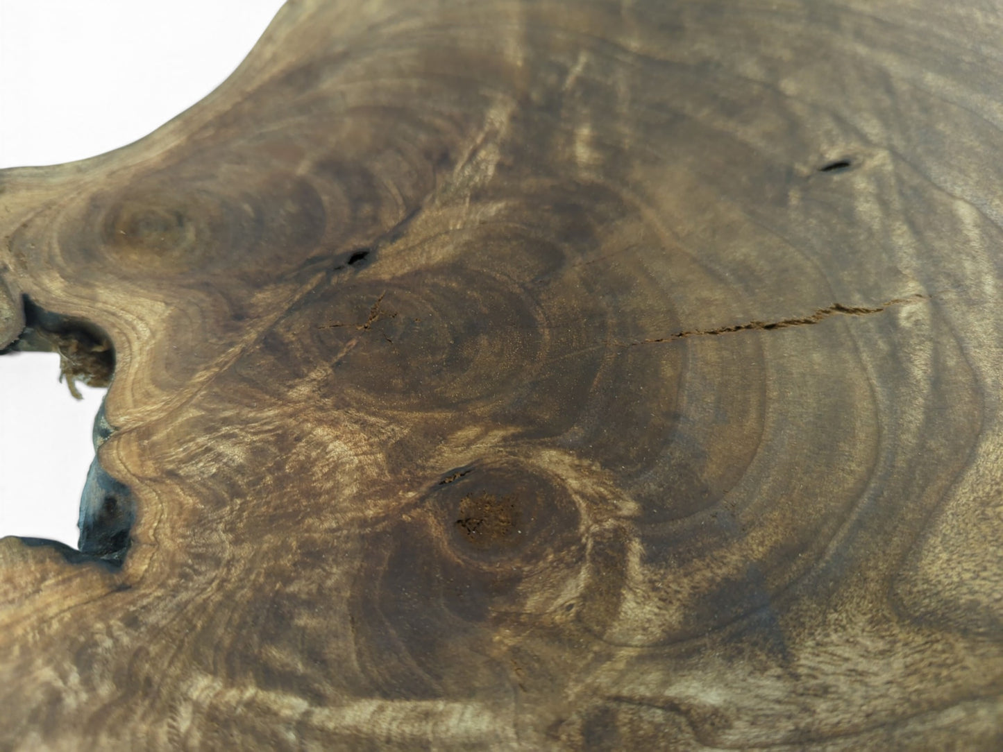 Large Walnut Wood Slab, Live Edge Raw Material, Natural Crafting Piece, Rustic Coffee Table Top, Epoxy Resin Project #036