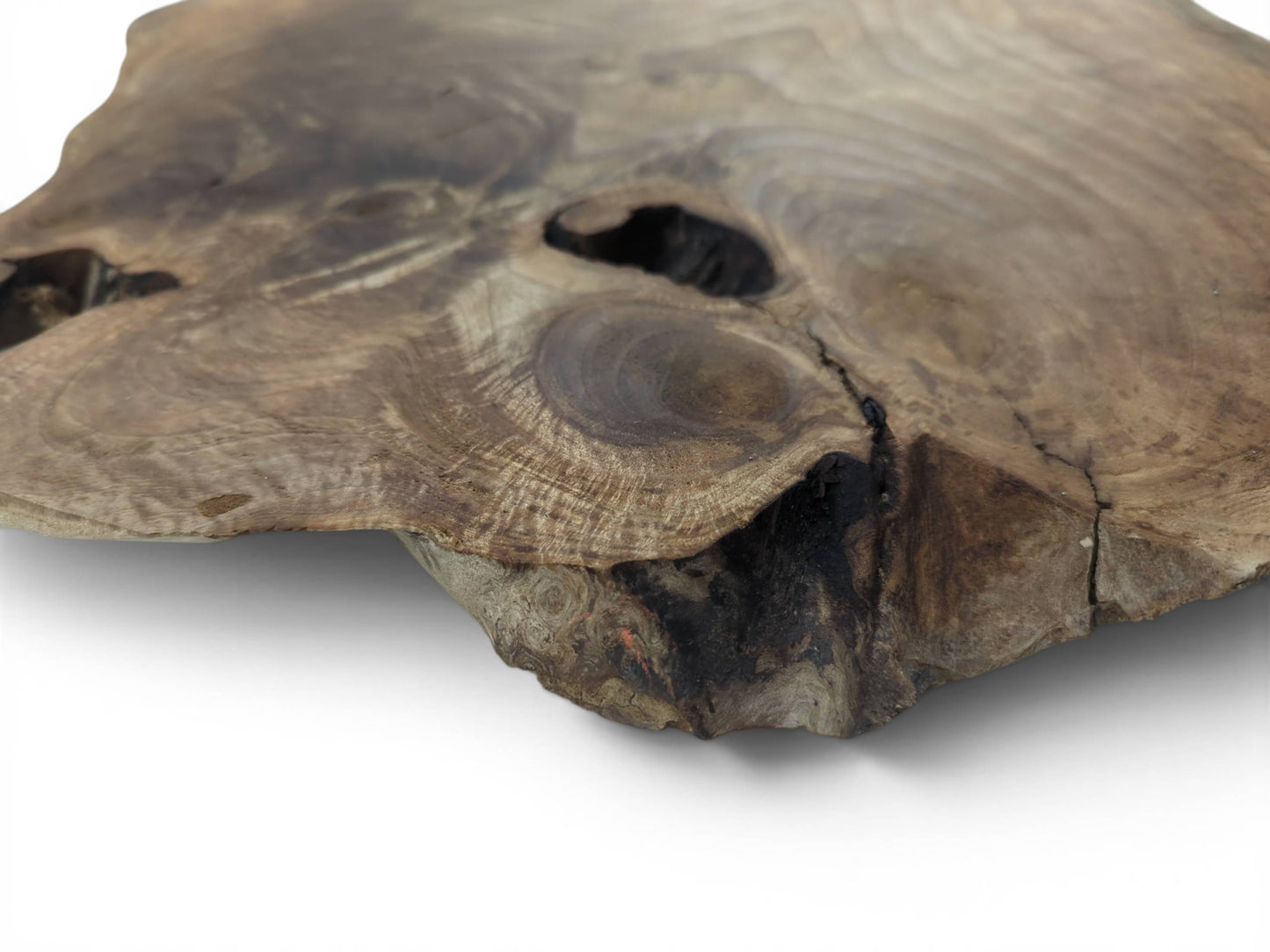 Large Walnut Wood Slab, Live Edge Raw Material, Natural Crafting Piece, Rustic Coffee Table Top, Epoxy Resin Project #036