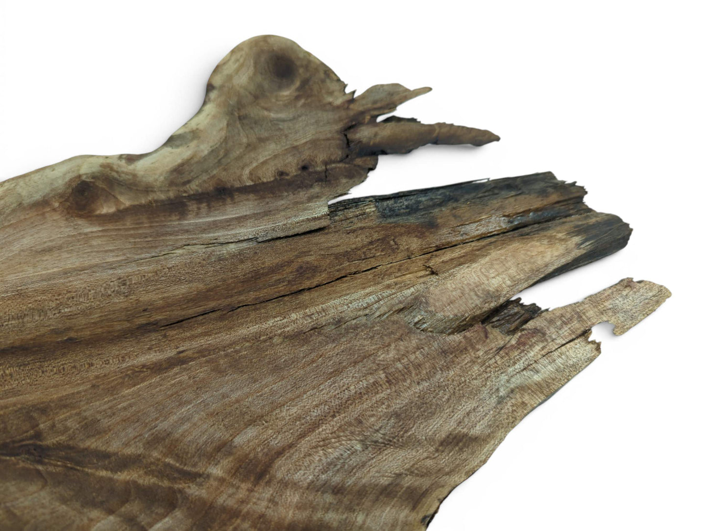 Close-up of a natural wood slab with prominent grain, knots, and a rough, organic edge.
