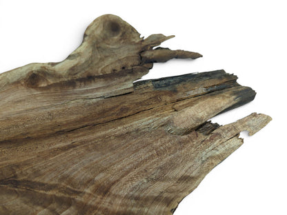 Close-up of a natural wood slab with prominent grain, knots, and a rough, organic edge.