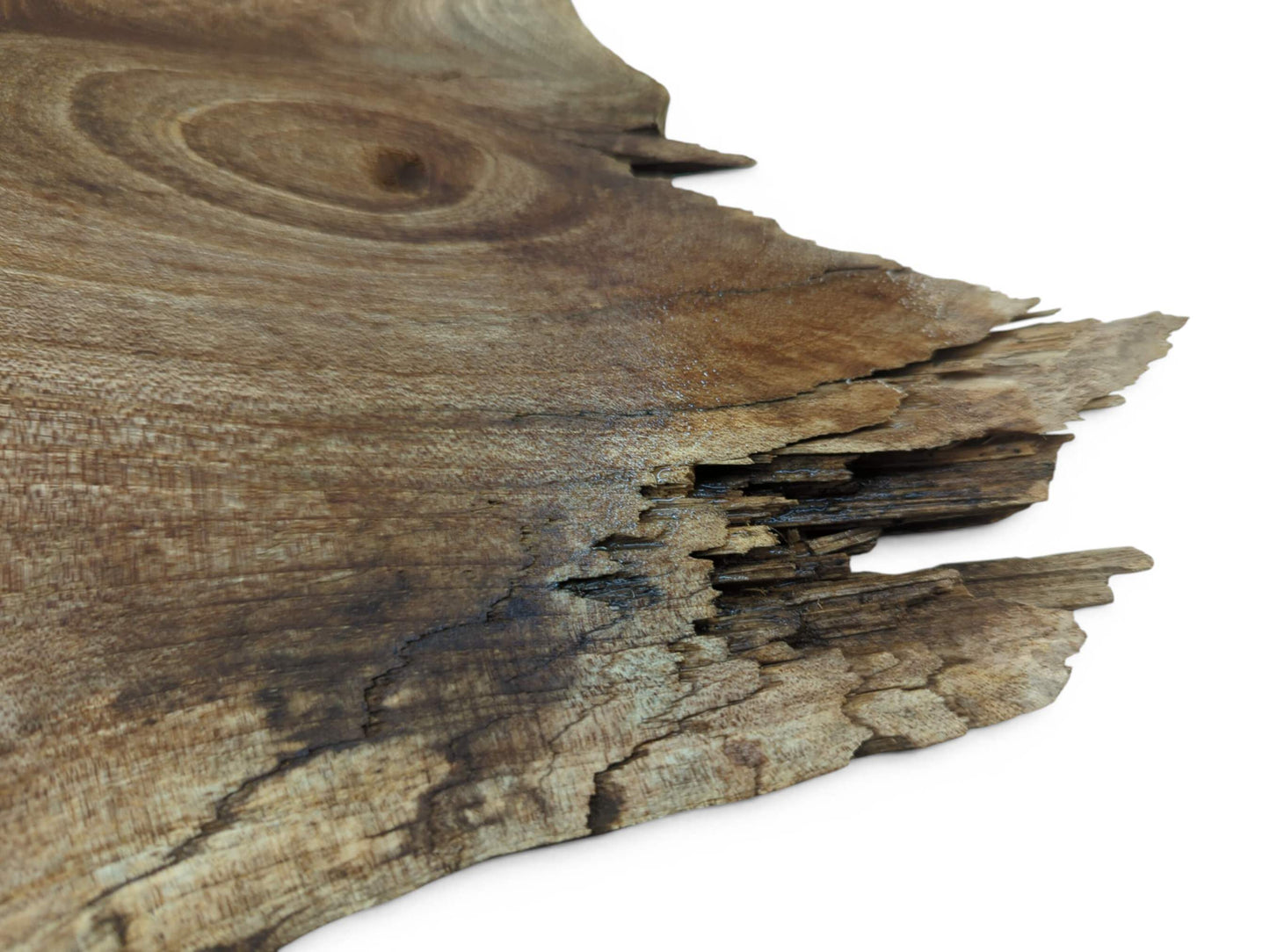 Close-up of a natural wood slab with a prominent knot, grain, and a rough, organic edge.