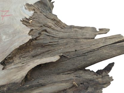 Close-up of a natural wood slab with a rough, organic edge and visible grain.