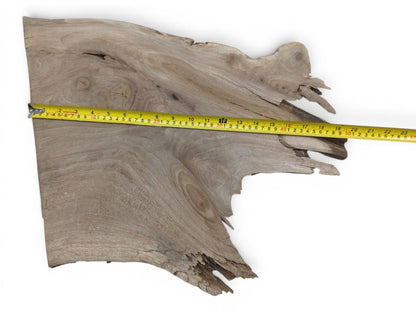 Overhead view of a natural walnut wood slab with a live edge and visible grain.