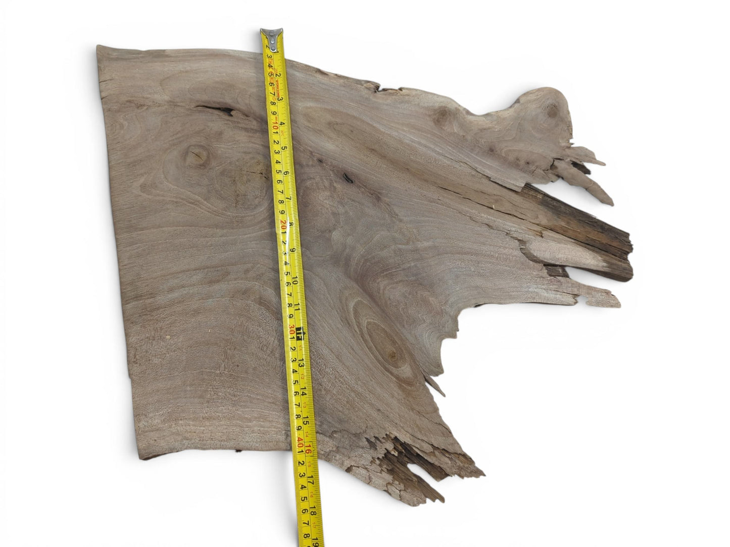 Overhead view of a natural walnut wood slab with a live edge and visible grain.