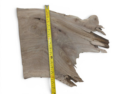 Overhead view of a natural walnut wood slab with a live edge and visible grain.