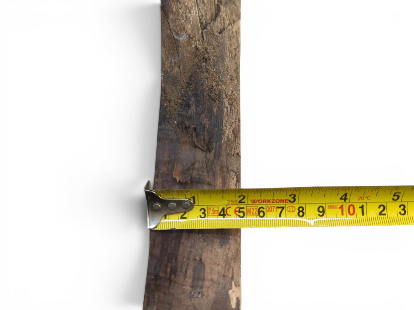 A close-up of a natural wood slab with a measuring tape across its width.