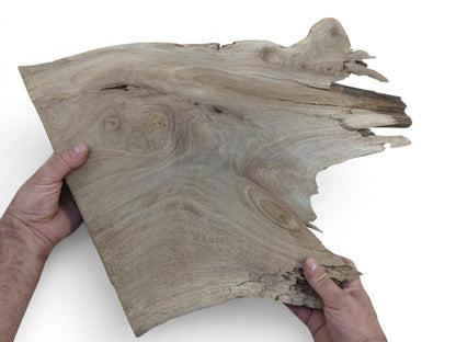 Two hands hold a natural live edge walnut wood slab with prominent grain and knots.