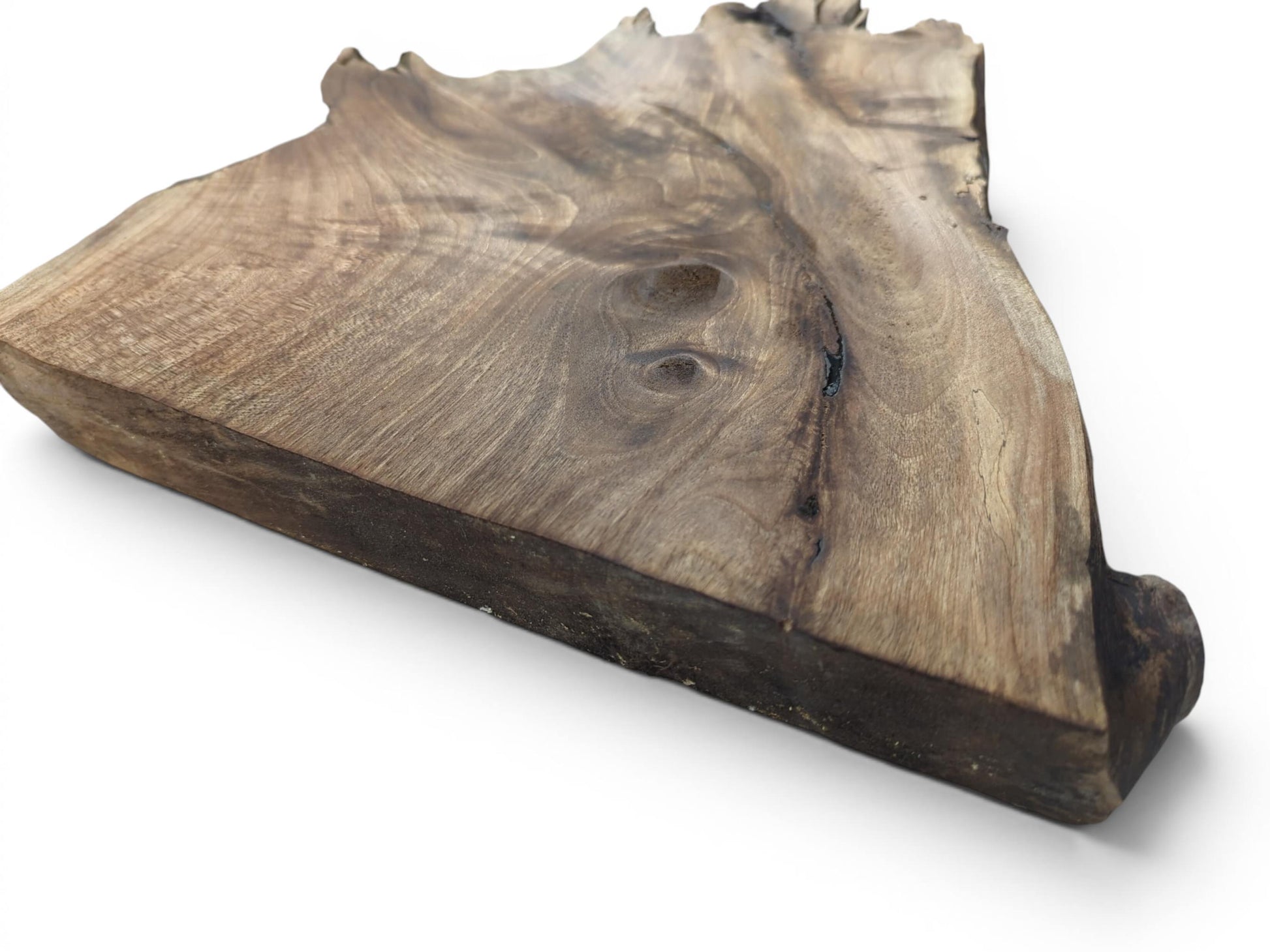 A thick, natural walnut root wood slice with a live edge and swirling grain.