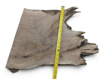 A natural walnut root wood slice with a live edge and a yellow measuring tape.