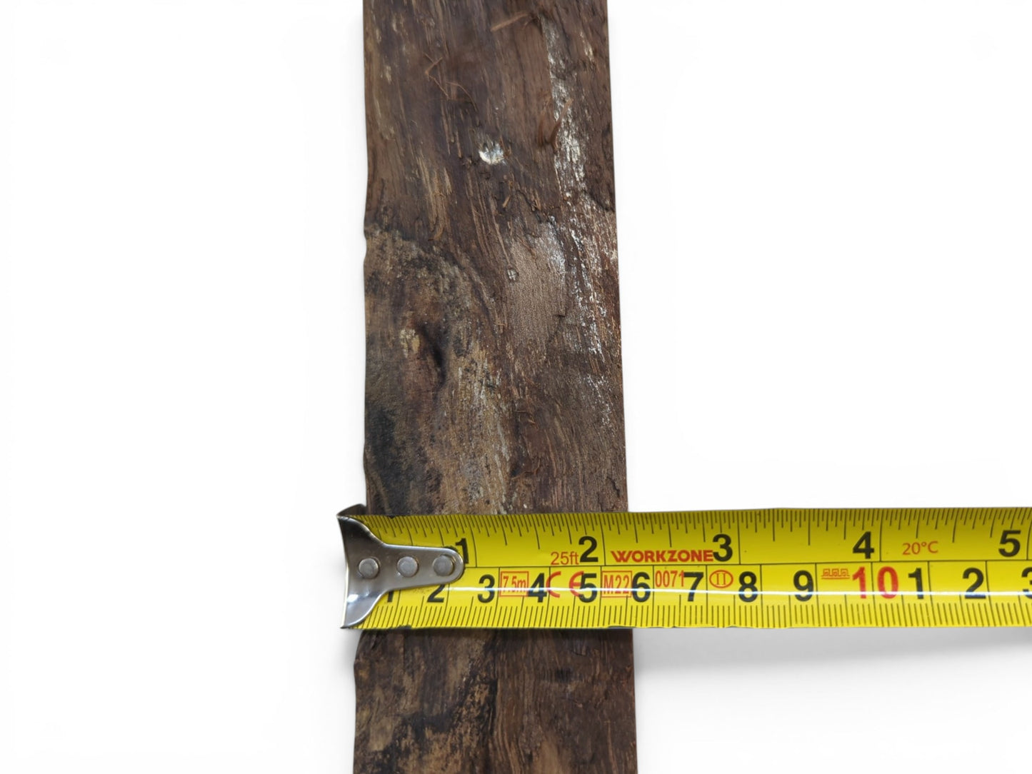 A close-up of a dark, rustic wood slice with a measuring tape across its width.