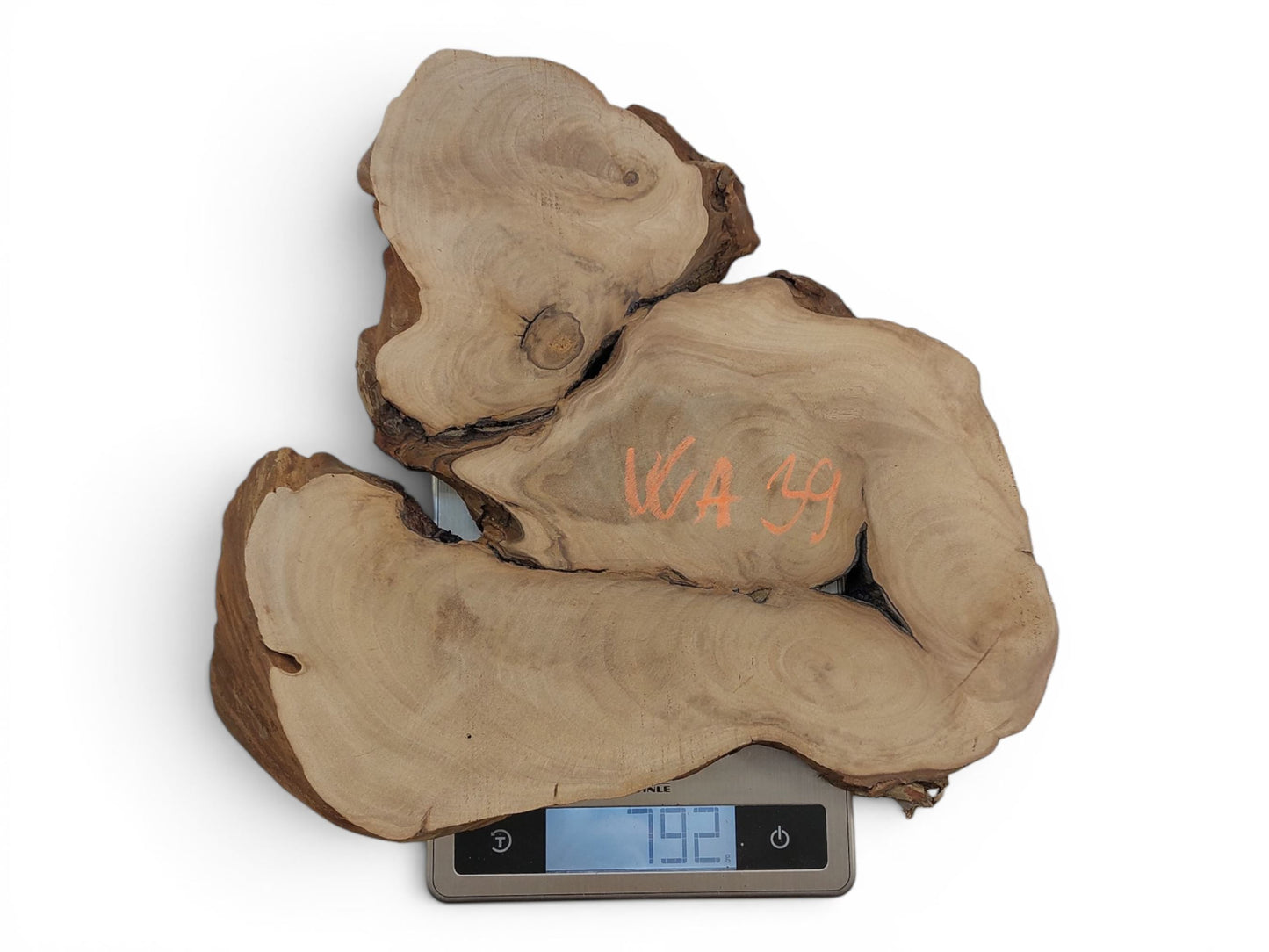 WA-039 | WA-039 (1).jpg