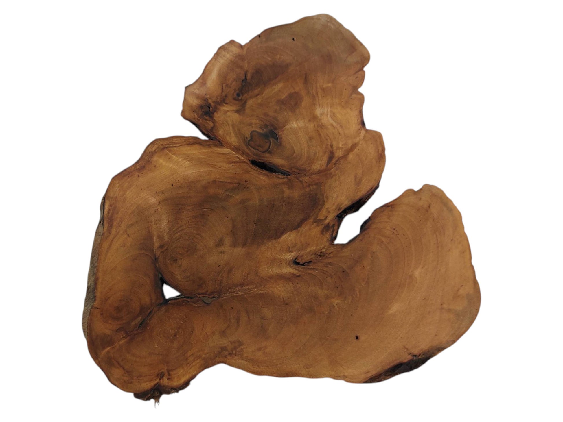 WA-039 | WA-039 (11) (0).jpg