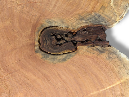 An orange-brown wood slab segment showcasing a prominent dark, cracked inclusion surrounded by fine growth rings.