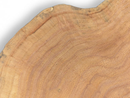 Brown weeping willow root wood slice surface, sanded and smooth, exhibiting natural grain patterns and visible growth rings.