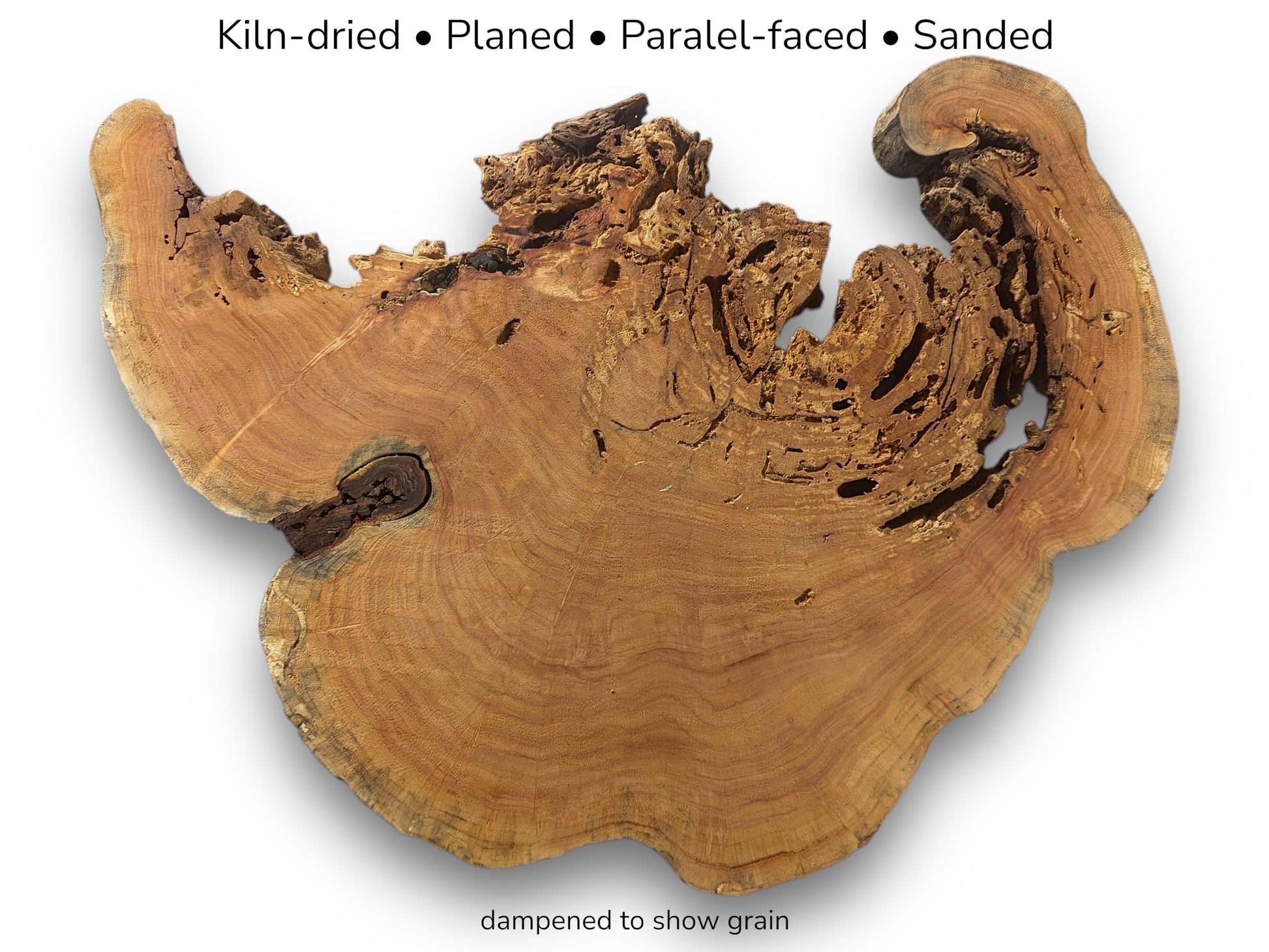 A weeping willow root slice with text detailing its kiln-dried, planed, and sanded preparation.